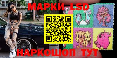 дмт Камышлов