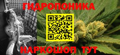 дмт Камышлов