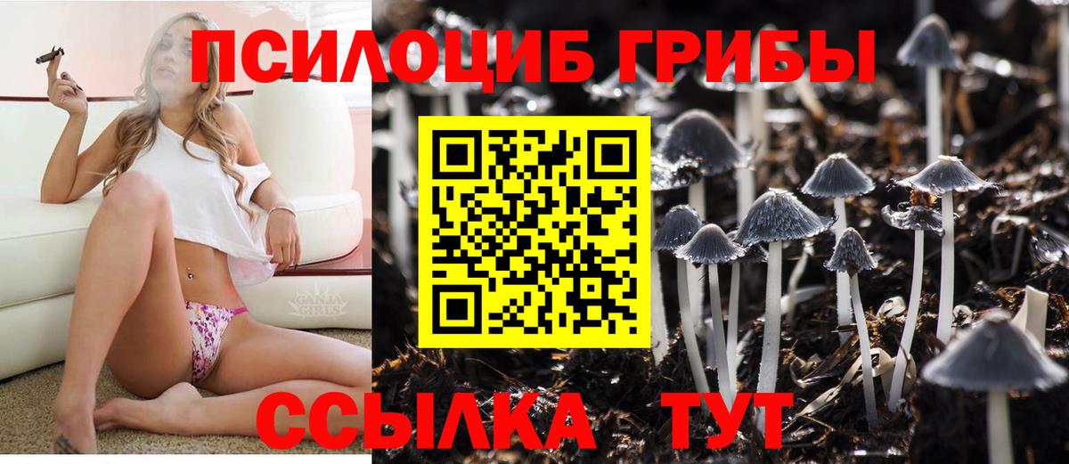 Галлюциногенные грибы прущие грибы Магнитогорск