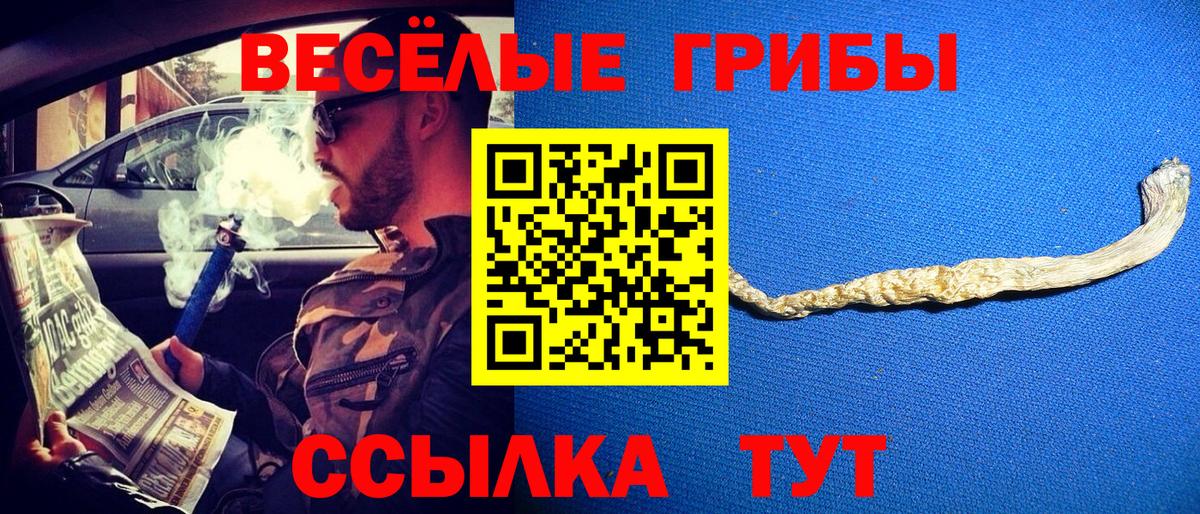 Галлюциногенные грибы ЛСД  закладки  Магнитогорск  Вход с VPN  Галлюциногенные грибы Magic Shrooms 